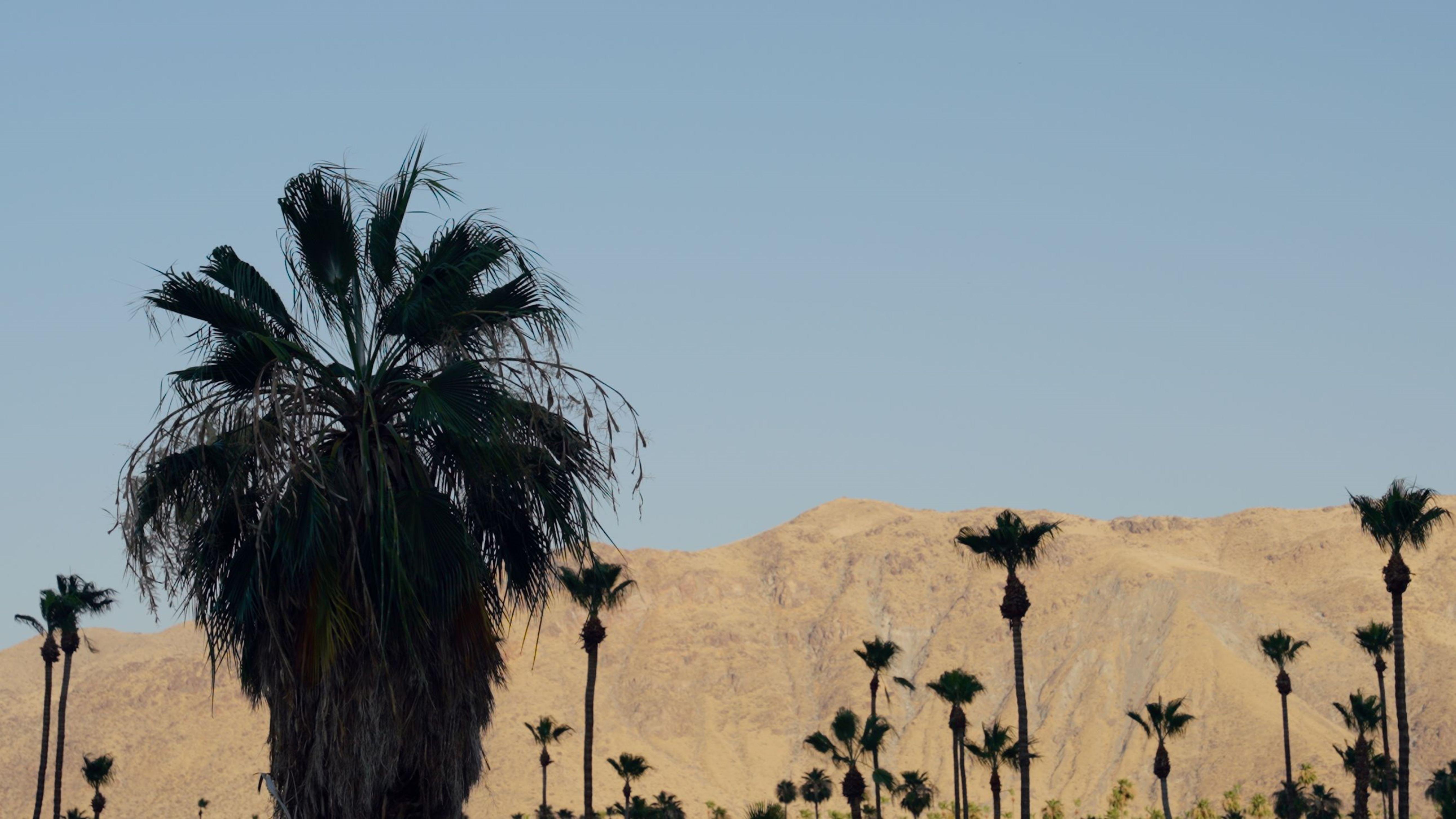 Hotel Royal Sun Palm Springs Esterno foto