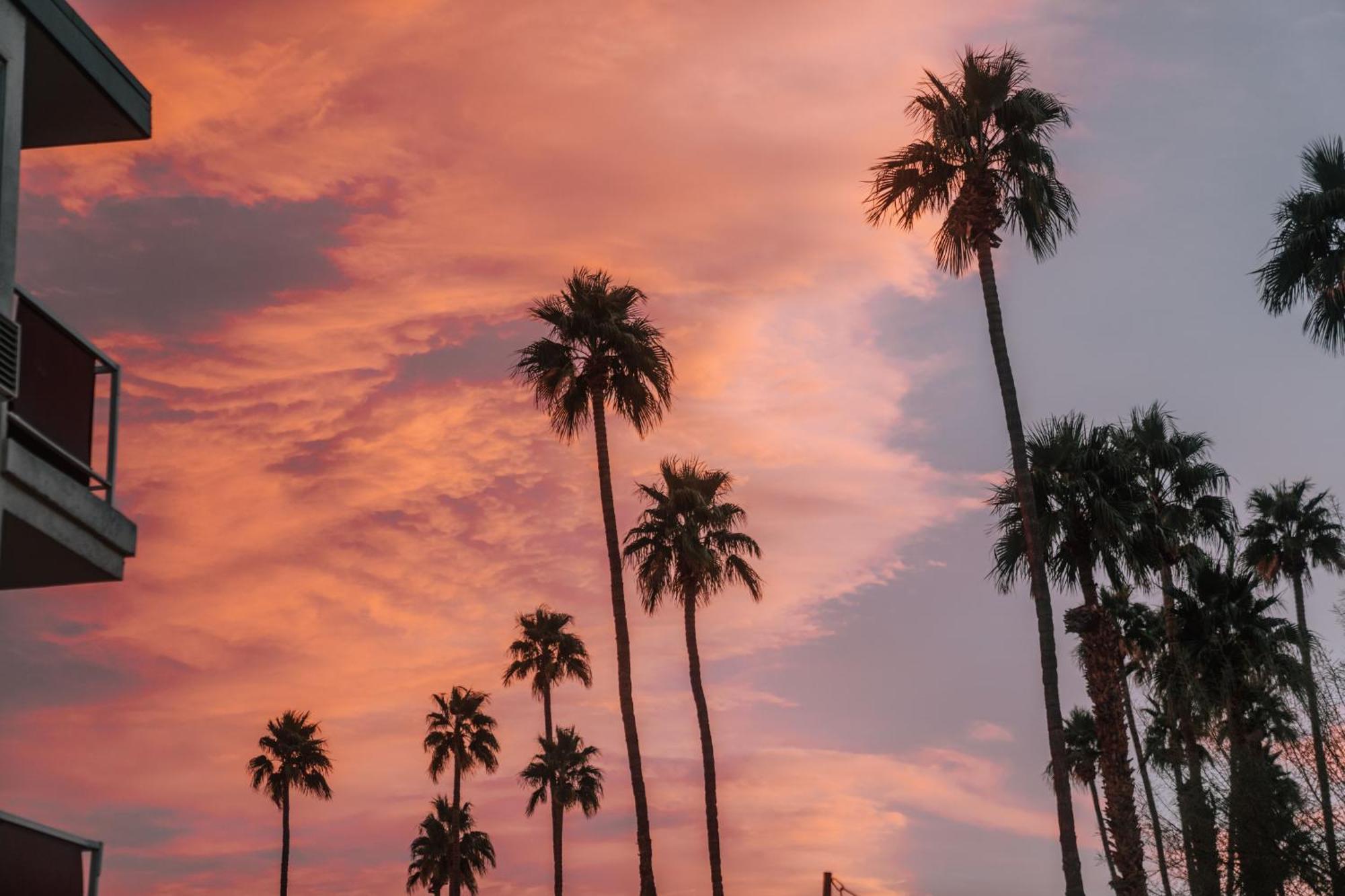 Hotel Royal Sun Palm Springs Esterno foto